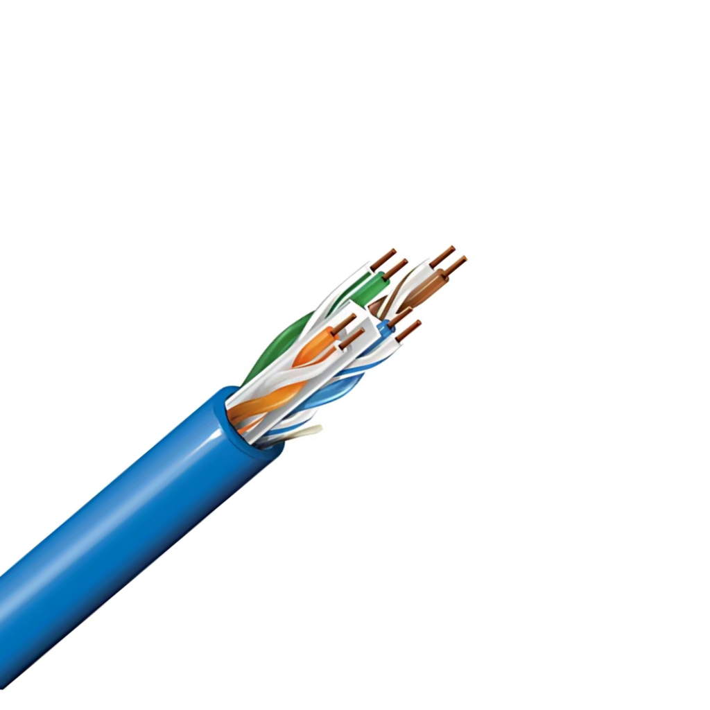CAT 6 Indoor